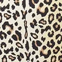 Kingdom & State Leopard Print Swim Bottom