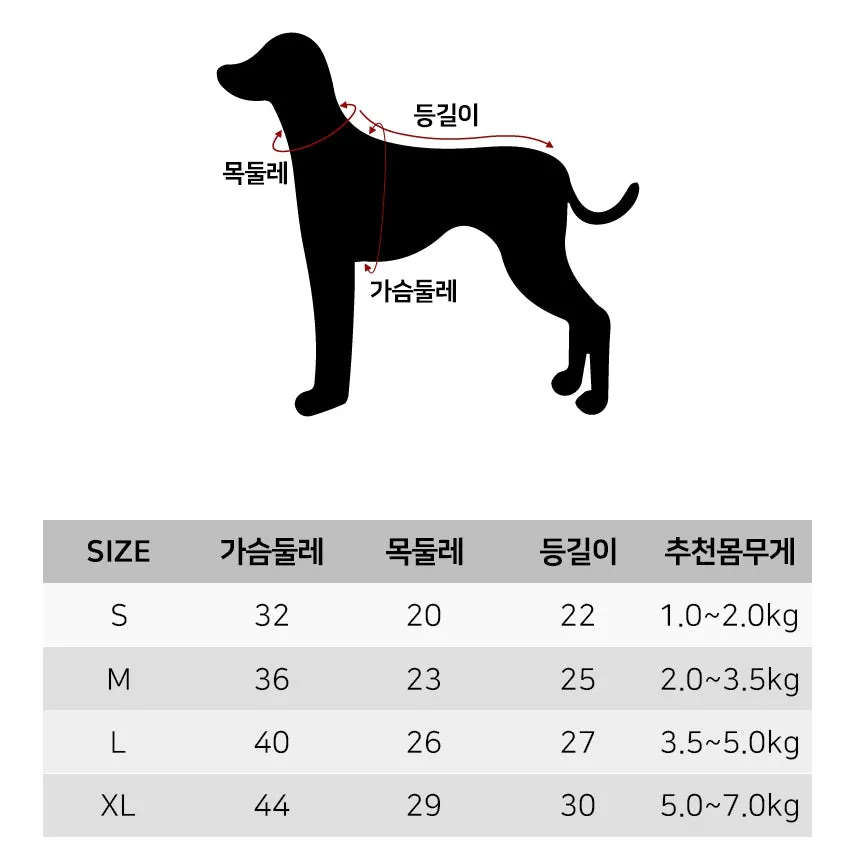 R logo Cute Bear Patterned Dogs Clothes Casual Comfortable Clothing Korean Designers Apparel Outfits Pets Knit Banding